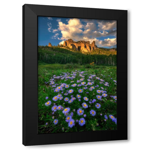 Canyon And Daisies Black Modern Wood Framed Art Print by Xu, Mei