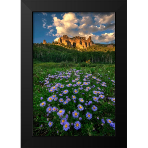 Canyon And Daisies Black Modern Wood Framed Art Print by Xu, Mei