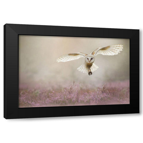 Lovely Black Modern Wood Framed Art Print with Double Matting by Plovie, Kevin