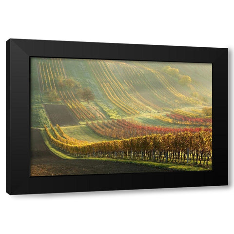 Autumn Vineyards Black Modern Wood Framed Art Print by Pakutina, Anna