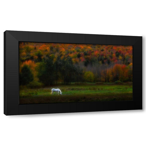 Autumn Glory Black Modern Wood Framed Art Print with Double Matting by P., Ruiqing