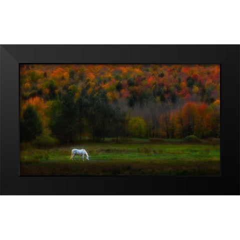 Autumn Glory Black Modern Wood Framed Art Print by P., Ruiqing