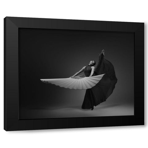The Fan Black Modern Wood Framed Art Print by Li, Rob