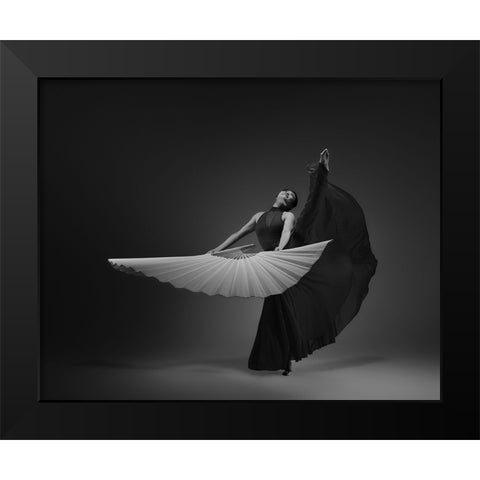 The Fan Black Modern Wood Framed Art Print by Li, Rob