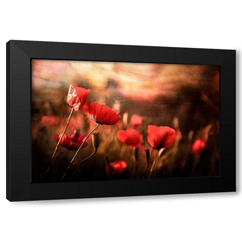 Morning Air Black Modern Wood Framed Art Print by Karami, Sahar