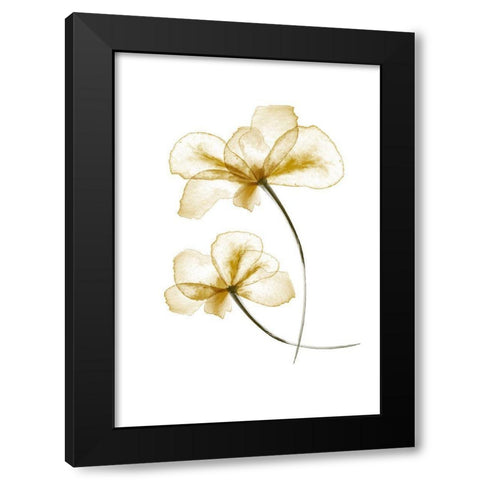 Pressed Flowers Black Modern Wood Framed Art Print by 1x Studio II