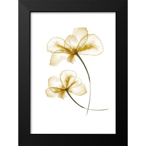 Pressed Flowers Black Modern Wood Framed Art Print by 1x Studio II