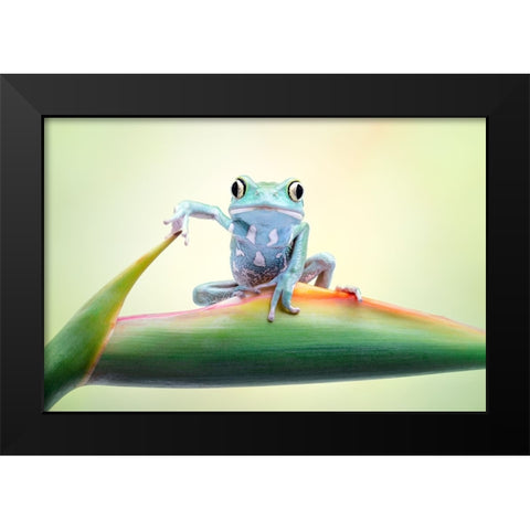 So Whaddaya Say Black Modern Wood Framed Art Print by Doyle, Renee