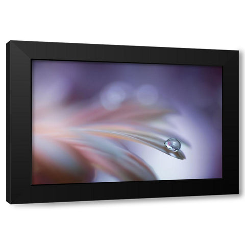 Sound Of Soul Black Modern Wood Framed Art Print with Double Matting by Barbieri, Rina