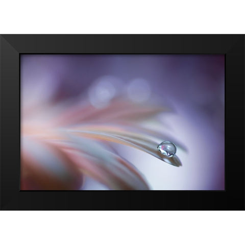 Sound Of Soul Black Modern Wood Framed Art Print by Barbieri, Rina