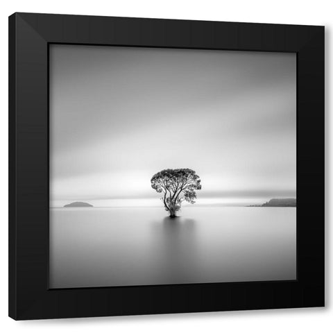 Untitled Black Modern Wood Framed Art Print with Double Matting by Luo, Jana