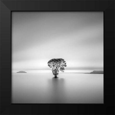 Untitled Black Modern Wood Framed Art Print by Luo, Jana