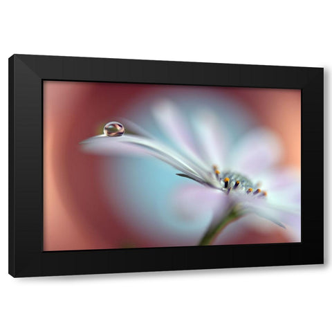 Summer Dream Black Modern Wood Framed Art Print with Double Matting by Westum, Heidi