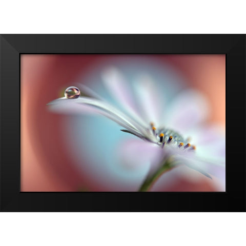 Summer Dream Black Modern Wood Framed Art Print by Westum, Heidi