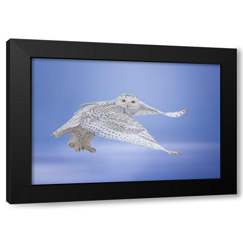 See Me Black Modern Wood Framed Art Print by Huang, Tao