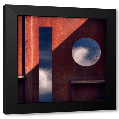 Bird Watching Station Black Modern Wood Framed Art Print by Apers, Marc