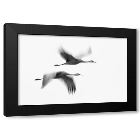 Dream Couple Black Modern Wood Framed Art Print with Double Matting by Fan, John