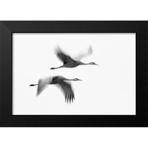 Dream Couple Black Modern Wood Framed Art Print by Fan, John