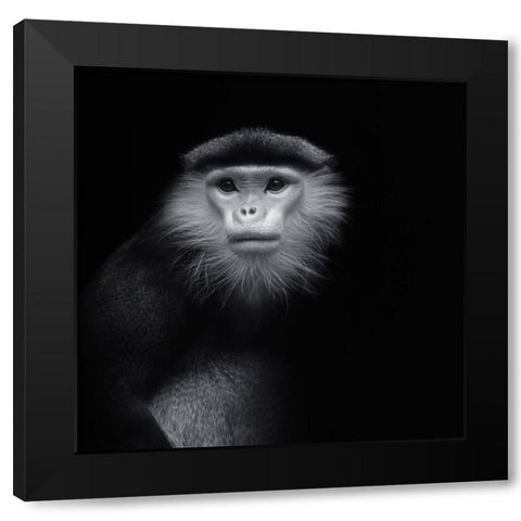 Ape 2 Black Modern Wood Framed Art Print by Vollrath, Jorg