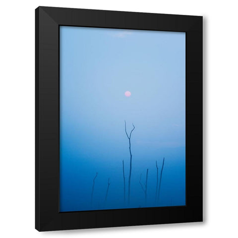 Melancholy Black Modern Wood Framed Art Print with Double Matting by Swapnil