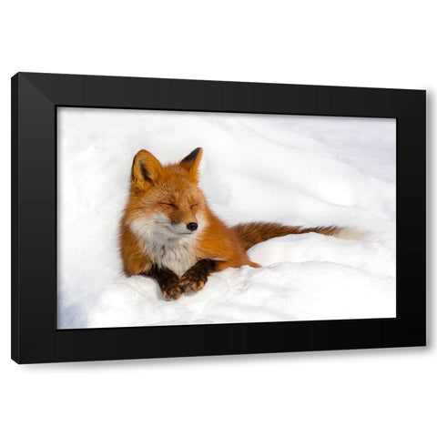 Enjoyment Black Modern Wood Framed Art Print by Budkov, Denis