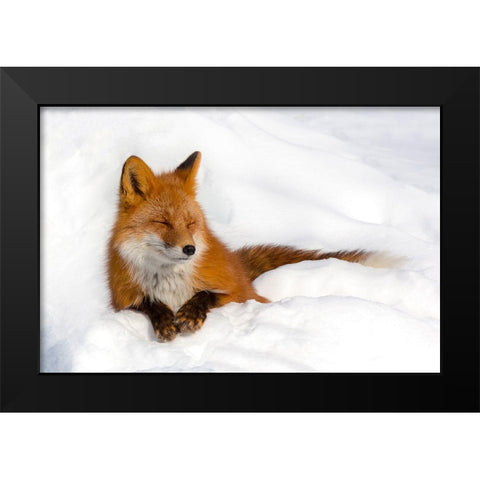 Enjoyment Black Modern Wood Framed Art Print by Budkov, Denis