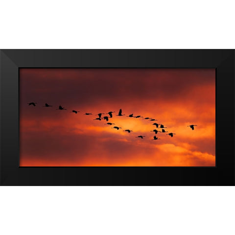 Lord Of The Ring Black Modern Wood Framed Art Print by Xiao, Hanping