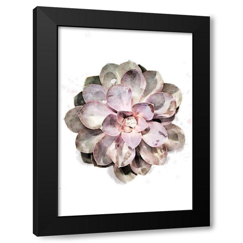 Succulent 01 Black Modern Wood Framed Art Print by 1x Studio II