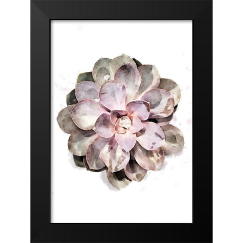 Succulent 01 Black Modern Wood Framed Art Print by 1x Studio II