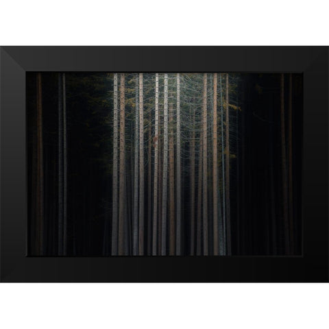 Second Skin Black Modern Wood Framed Art Print by De Franzoni, Thomas