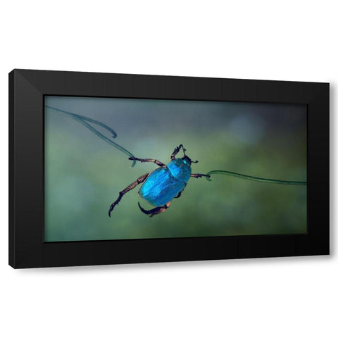 The Acrobat Black Modern Wood Framed Art Print with Double Matting by Hoffman, Jimmy