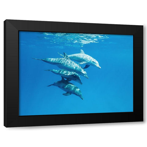 Familly Black Modern Wood Framed Art Print with Double Matting by Melesan, Serge