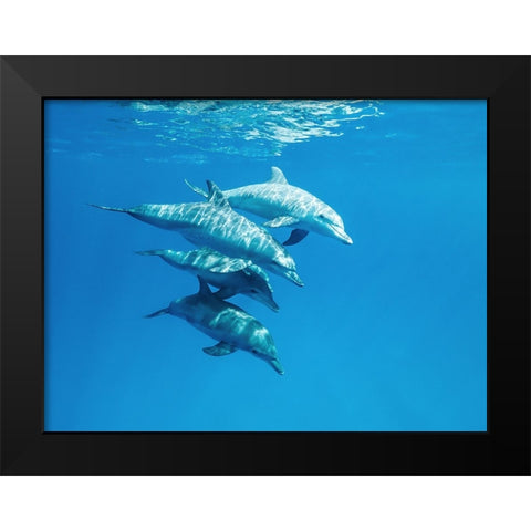 Familly Black Modern Wood Framed Art Print by Melesan, Serge