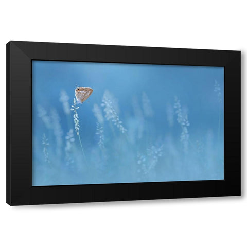 Blues Black Modern Wood Framed Art Print with Double Matting by Pamungkas, Edy