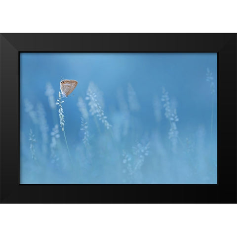 Blues Black Modern Wood Framed Art Print by Pamungkas, Edy