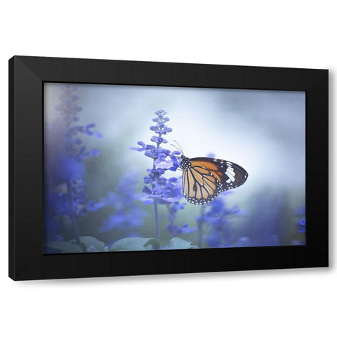 Butterfly Black Modern Wood Framed Art Print by Li, Wang