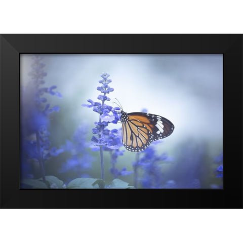 Butterfly Black Modern Wood Framed Art Print by Li, Wang