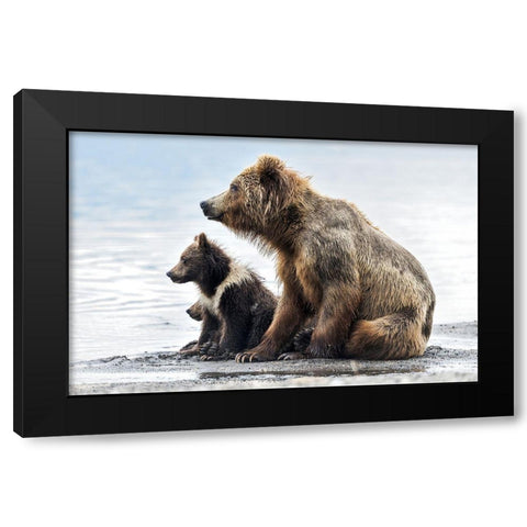 Profiles Black Modern Wood Framed Art Print with Double Matting by Damico, Giuseppe