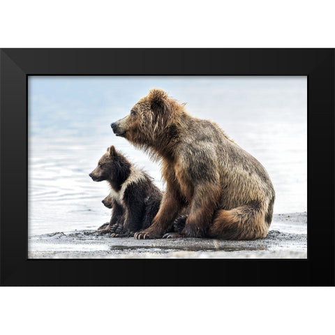 Profiles Black Modern Wood Framed Art Print by Damico, Giuseppe