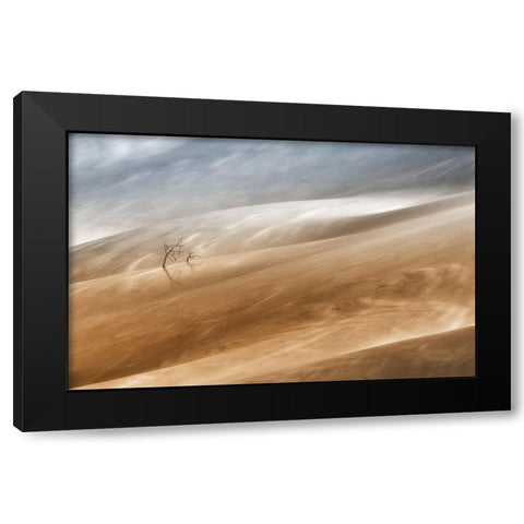 Two Trees Black Modern Wood Framed Art Print by Hermann, Uschi