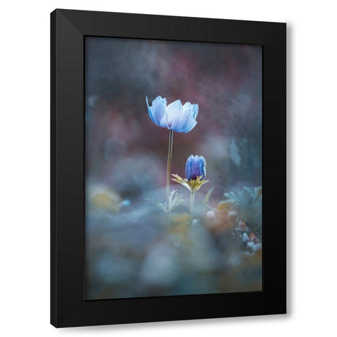 Growing Up Black Modern Wood Framed Art Print with Double Matting by BRAVIN, Fabien