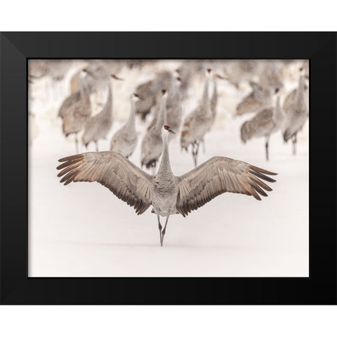 King Black Modern Wood Framed Art Print by Wang, Qingsong