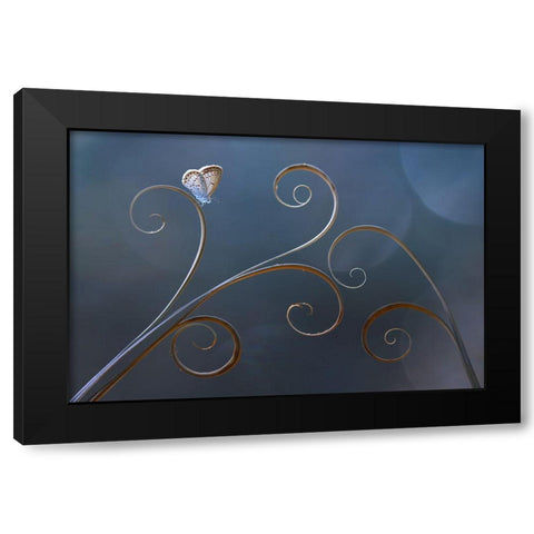 Curve Black Modern Wood Framed Art Print by Pamungkas, Edy