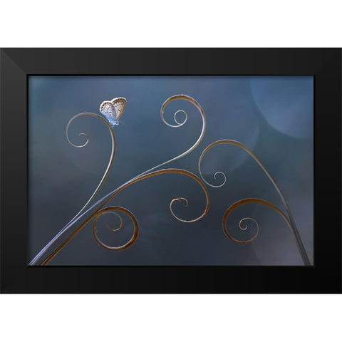 Curve Black Modern Wood Framed Art Print by Pamungkas, Edy