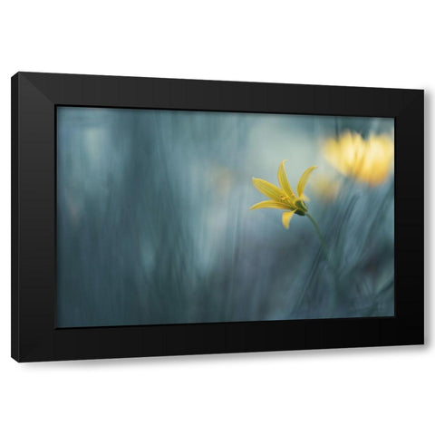 Spring Vaudeville... Black Modern Wood Framed Art Print by Kopcev, Igor