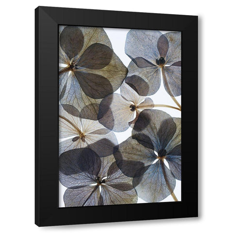 Botanical #21 Black Modern Wood Framed Art Print with Double Matting by Lenka