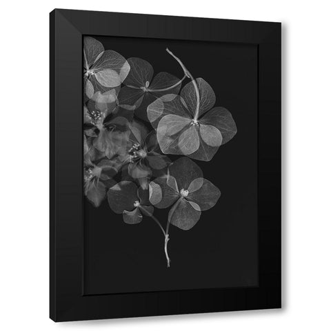 Botanical 25 Black Modern Wood Framed Art Print by Lenka