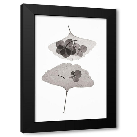 Botanical 35 Black Modern Wood Framed Art Print with Double Matting by Lenka