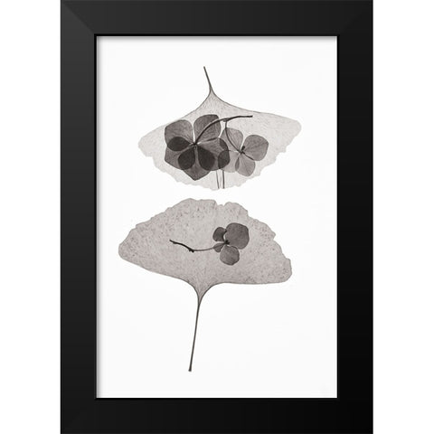Botanical 35 Black Modern Wood Framed Art Print by Lenka