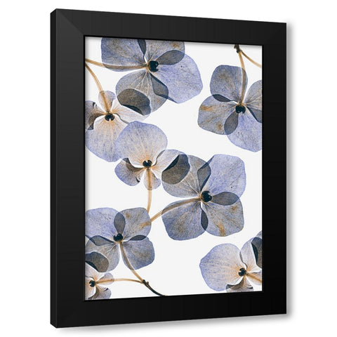 Botanical #37 Black Modern Wood Framed Art Print by Lenka